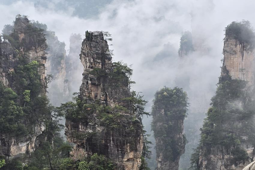 [관광] [ 장 가 계  -  4박5일  ] [실속]- (인천) -9월~11월